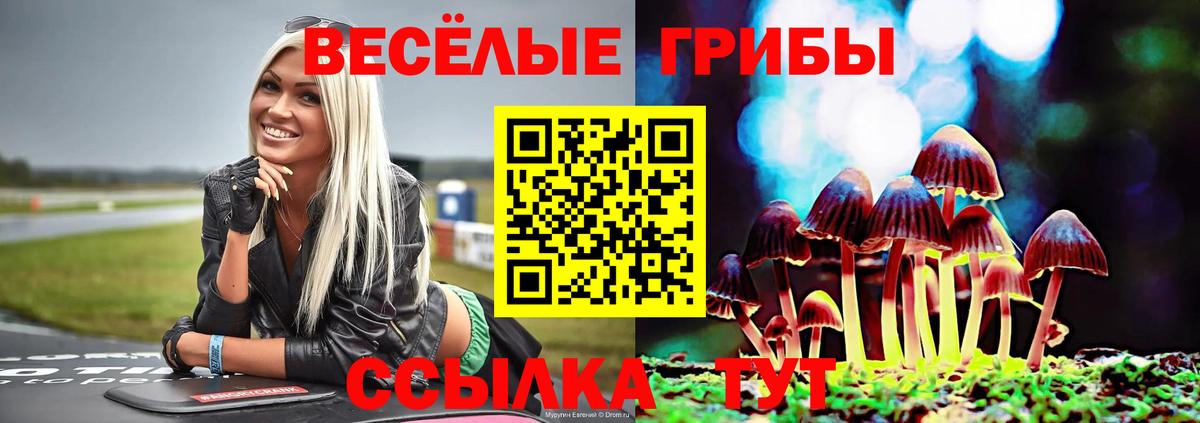 Галлюциногенные грибы ЛСД Мичуринск
