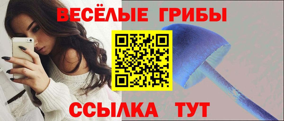 Галлюциногенные грибы Cubensis  Вход с VPN  Галлюциногенные грибы мухоморы  Мичуринск 